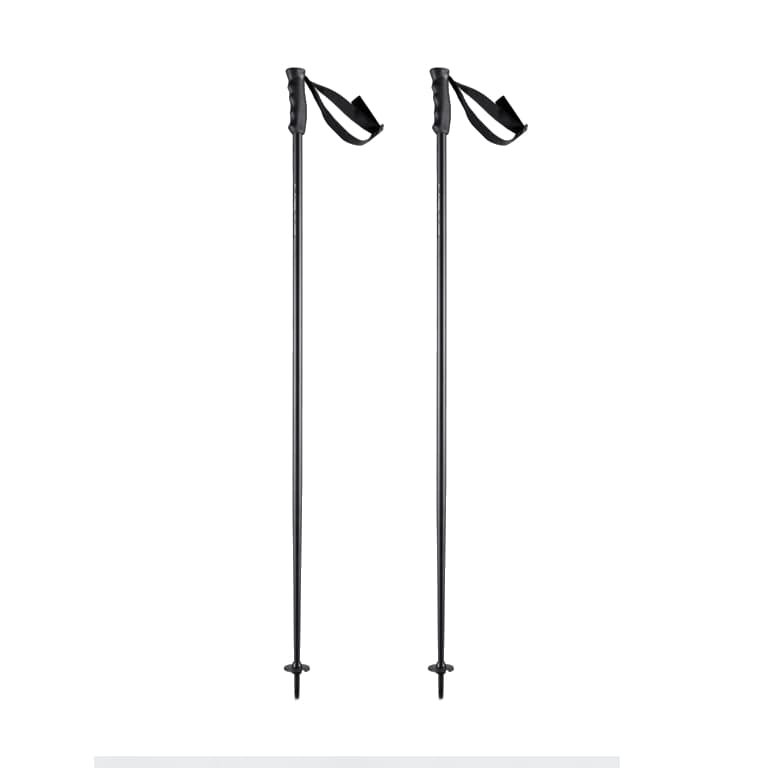 Head Multi Ski Stokken 135